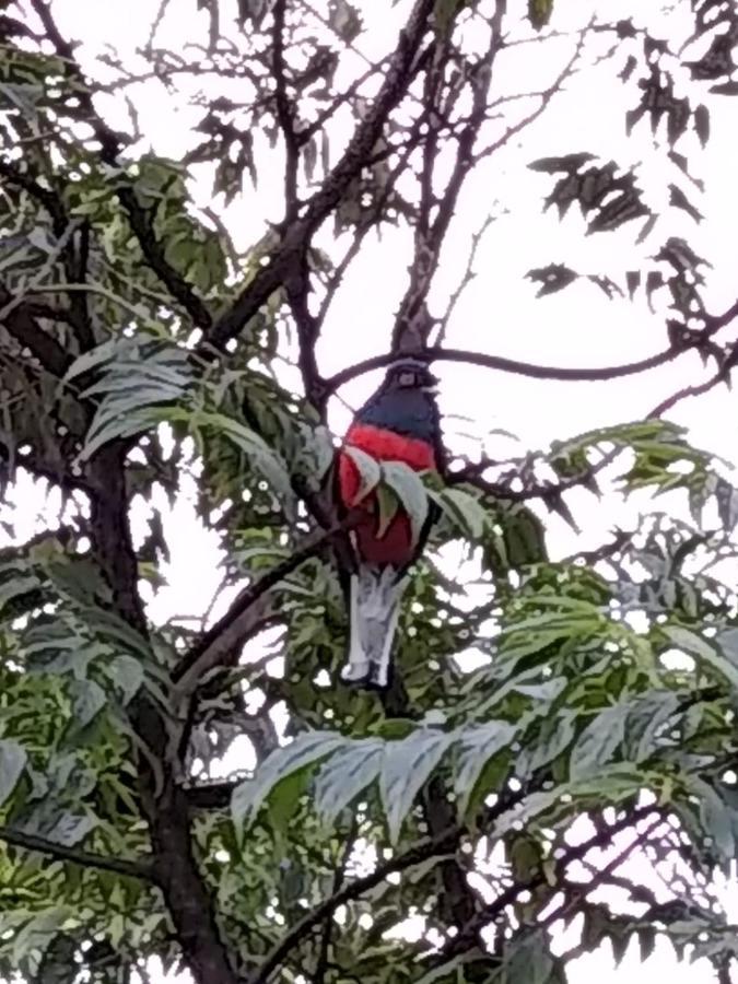 Отель Sitio Holistico Natureza Sanadora Morro Reuter Экстерьер фото