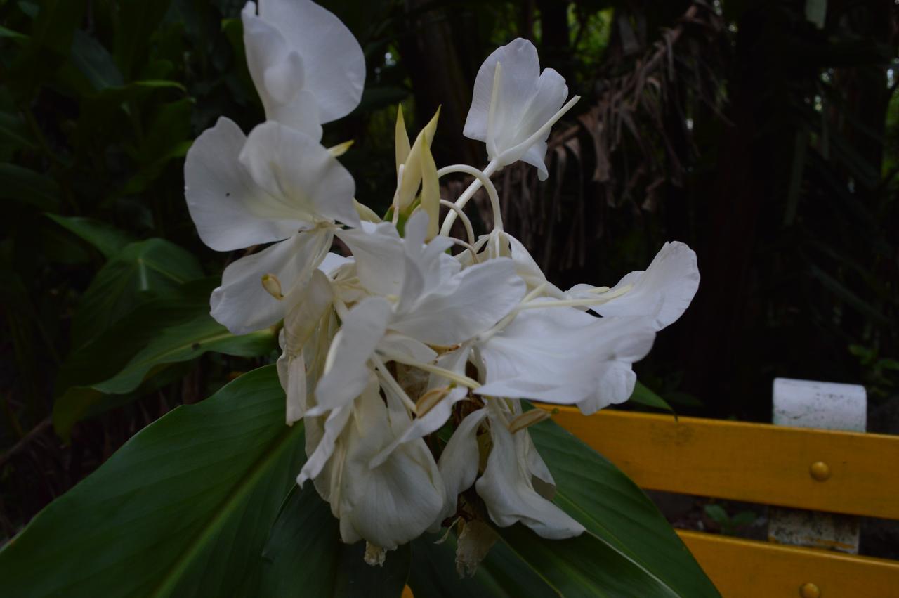 Отель Sitio Holistico Natureza Sanadora Morro Reuter Экстерьер фото